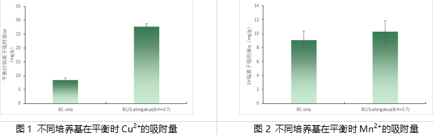 【科技】共生新模式：細菌纖維素與藍藻聯(lián)手“洗凈”水污染——武漢理工大學生命科學學院最新研究成果解讀(圖1)